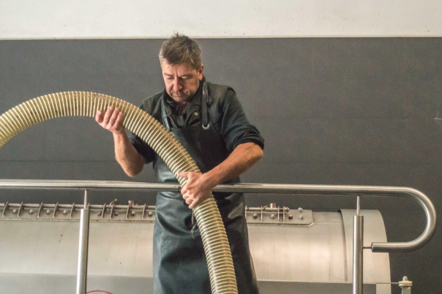 Rudolf Dentzer bei der Arbeit im Weinkeller