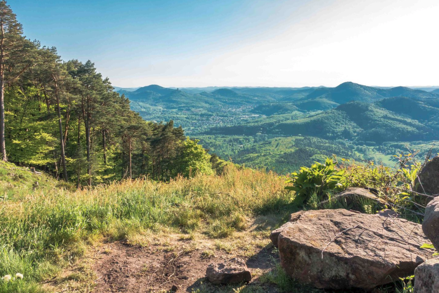 Blick auf die Berge des Pfälzer Waldes