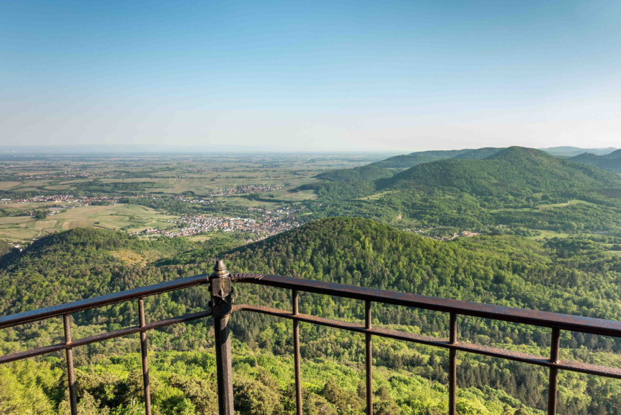 Blick vom Orensfels auf Albersweiler
