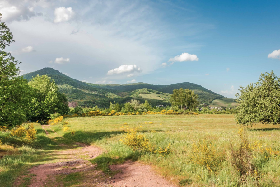 Blick auf den Orensfels