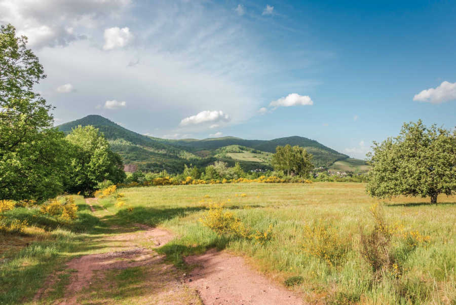 Blick auf den Orensfels