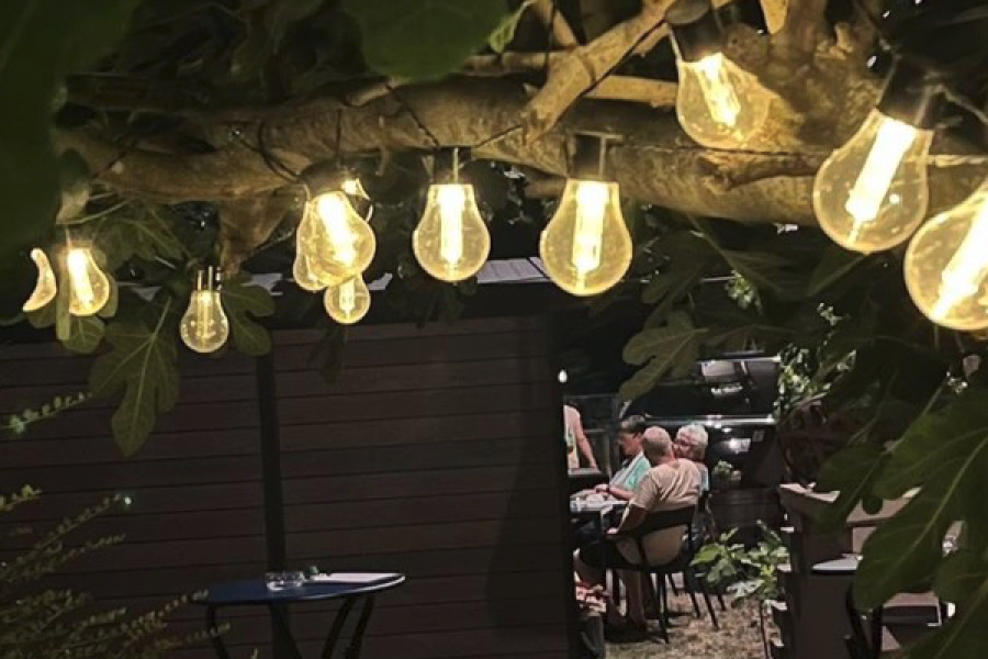 Weinbar mit Beleuchtung im Baum