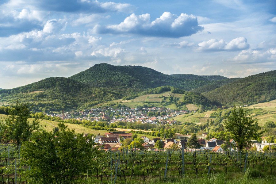 Schilder mit Cocktailbezeichnungen